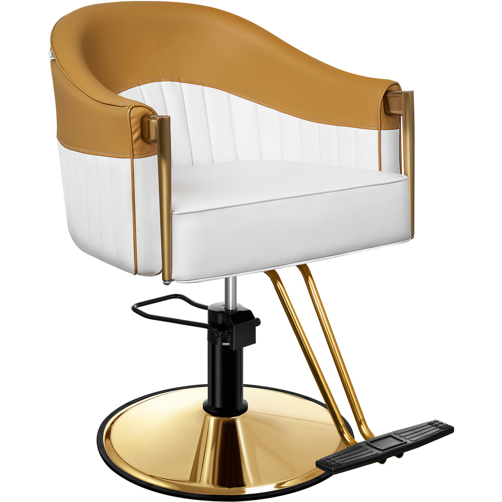 Gold Salon Chair BS142 BaashaBeauty