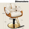 Gold Salon Chair BS-144
