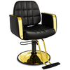 New Stylist Chair BS-166