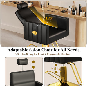 Hydraulic Reclining Salon Chair BS-72