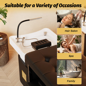 Baasha Head Spa Waterfall Equipment BS-206