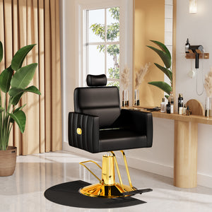 Hydraulic Reclining Salon Chair BS-72