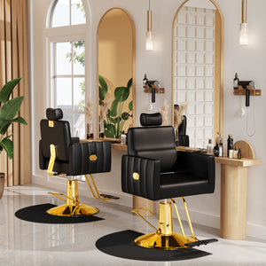 Reclining Chair Salons, Heave Duty Hydraulic Salon Chair, Baasha