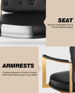Baasha Gold Salon Chair BS-125