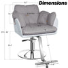 Cloud-like Salon Chair BS111