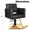 Gold Salon Chair BS106